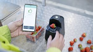 Een medewerker voorspelt de houdbaarheid van aardbeien met de scanner die OneThird heeft ontwikkeld. - Foto: OneThird