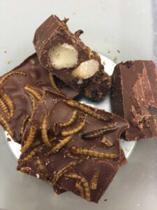 Chocolade met insecten. Het zou kansrijker zijn om insecten tot onherkenbaar ingredi&euml;nt te verwerken. - Foto: Canva/CJ Thomas