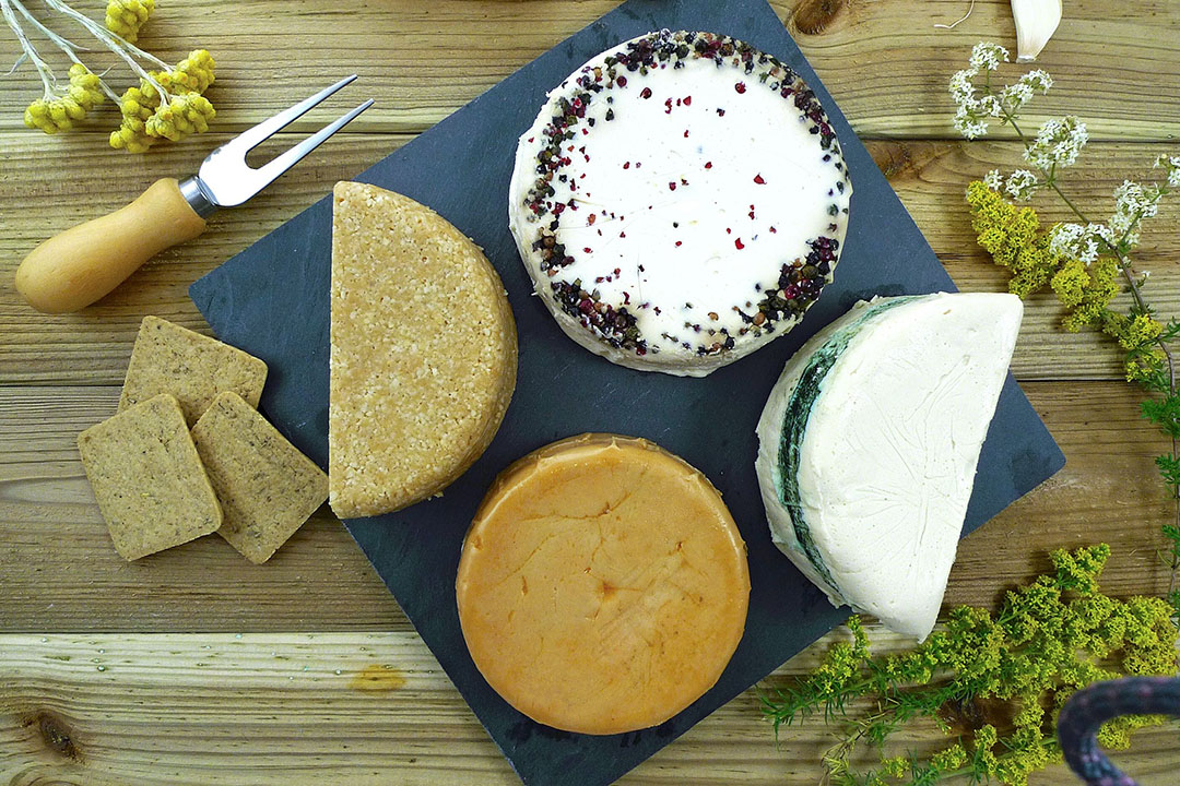 Those Vegan Cowboys en NoPalm Ingredients onderzoeken vegan kaasvet — Eiwittrends.nl
