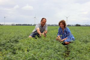 Kikkererwtentelers Anna van der Bijl en Peter Laan