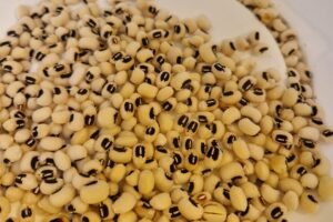 Cowpea Nederland