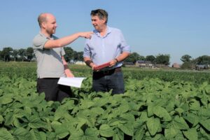 Salesmanager René Henquet (rechts) van Storm Seeds