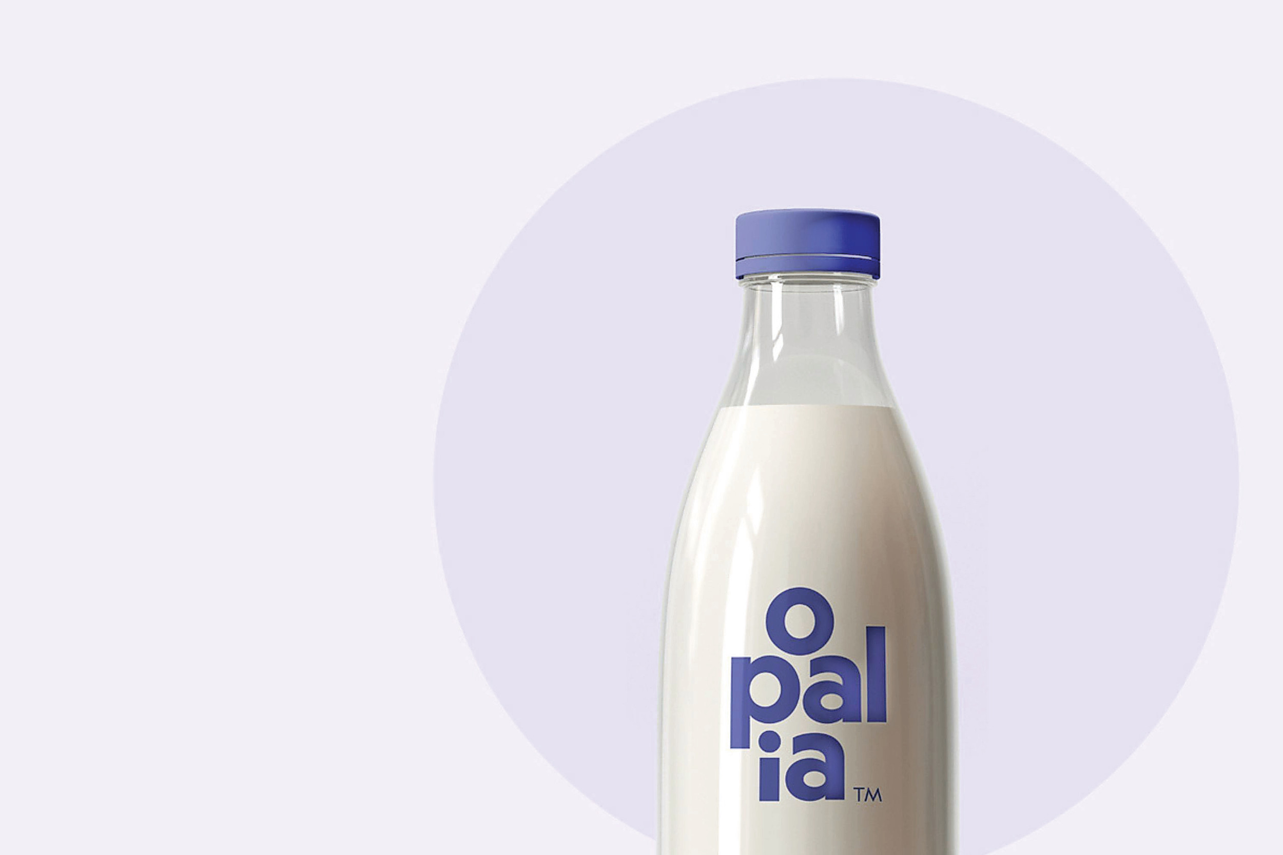 Opalia Rome Hoogwegt gaat samenwerken met Opalia voor gecelkweekte zuivel - Eiwit ...